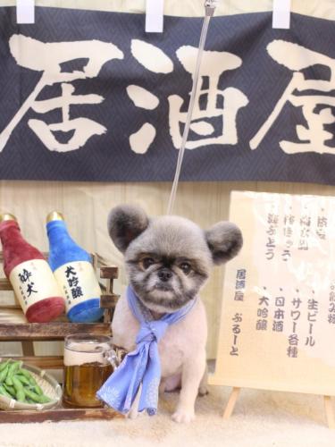 20240607リムルくん